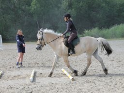 img_3461_web